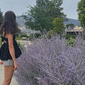 Meet your Posher, Abby